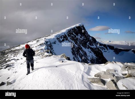 Norwayopplandvagajotunheimen National Parktrek To The Summit Of