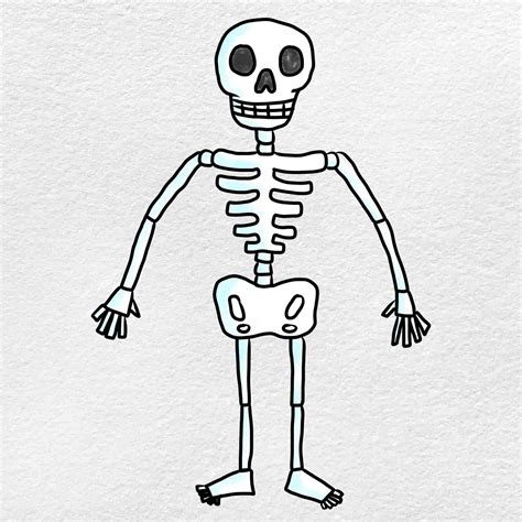 Skeleton Drawing How To Draw A Skeleton Step By Step Hot Sex Picture