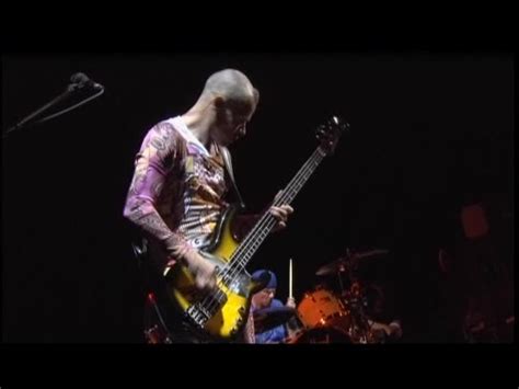 Funky Crime Perú Red Hot Chili Peppers Fuji Rock 2006 Dvd