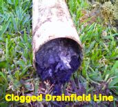 Restoring flow to the septic tank's drainfield will equalize the stress on the system. clogged-drainfield | Sun Plumbing
