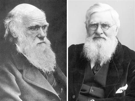 Darwin And Wallace Two British Scientists Who Discovered Evolution Through Natural Selection