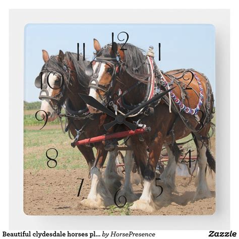 Beautiful Clydesdale Horses Ploughing Square Wall Clock