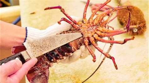 Japan Street Food Giant Lobster Sashimi Art Cutting Alo Japan