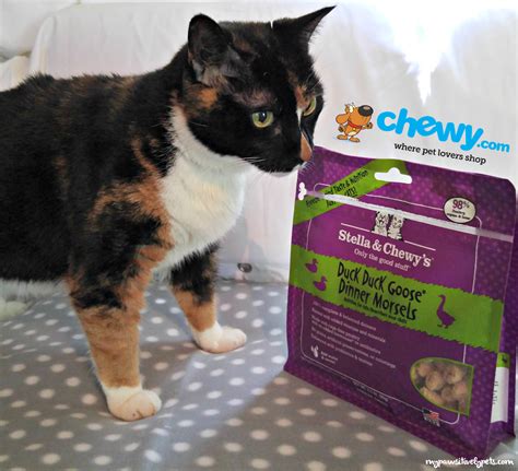 Overall catfooddb has reviewed 16 stella & chewy's cat food products. Stella & Chewy's Freeze-Dried Raw Cat Food From Chewy.com ...