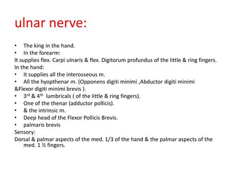 Ppt Radial Nerve Ulnar Nerve Median Nerves Powerpoint Presentation