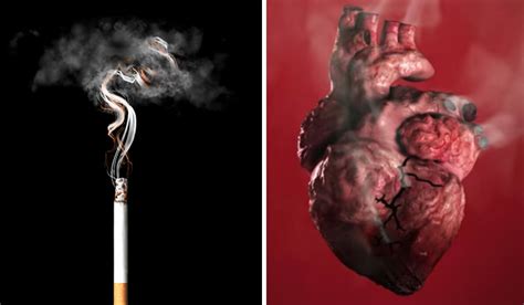 Dampak Buruk Rokok Terhadap Kesehatan Jantung Mhomecare Blog