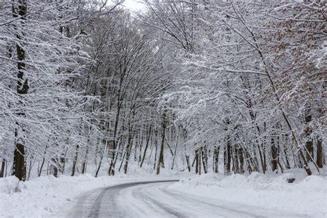 The Road In The Winter Forest And Trees In The Snow On A Cloudy Day