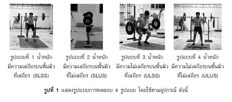 EFFECTS OF STABLE AND UNSTABLE LOAD ON STABLE AND UNSTABLE ...