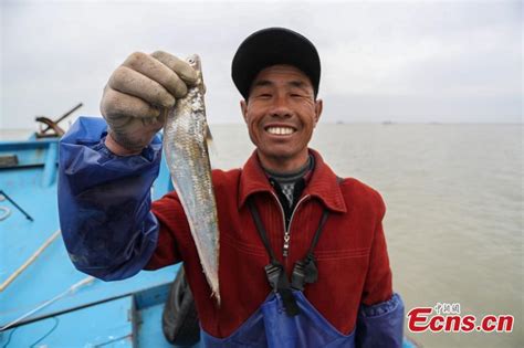 Fishing Season Begins For Rare Yangtze River Fish28