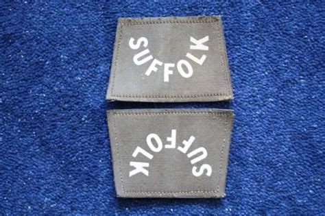 An Original Pair Of Ww1 Suffolk Regiment Cloth Shoulder Titles In