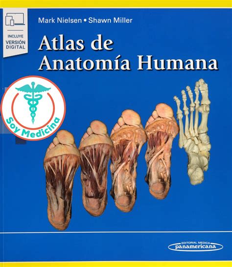 Atlas De Anatomia Humana Nielsen Libros De Medicina