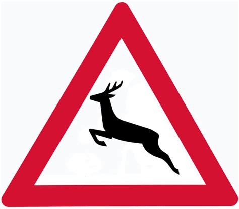 Deer Crossing Sign Isolated Free Stock Photos Rgbstock