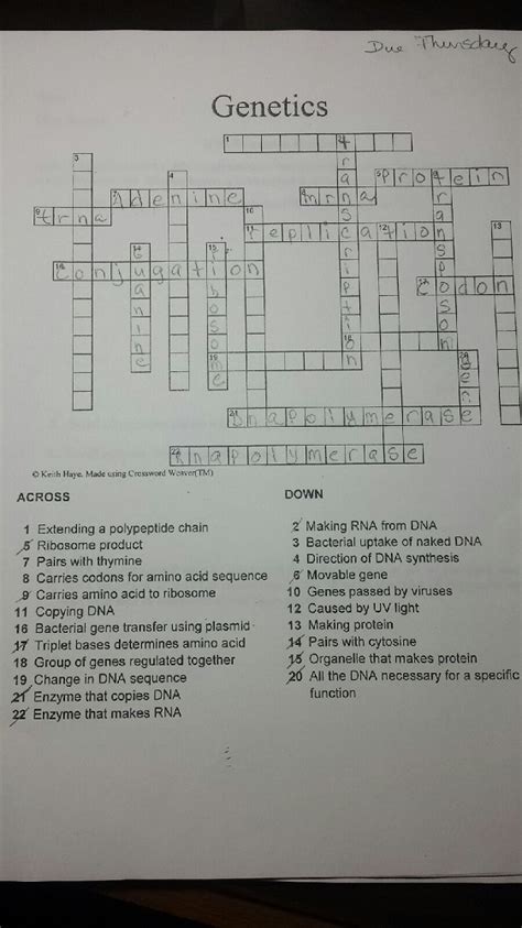 Answer Key Microscope Crossword Puzzle Answers Micropedia