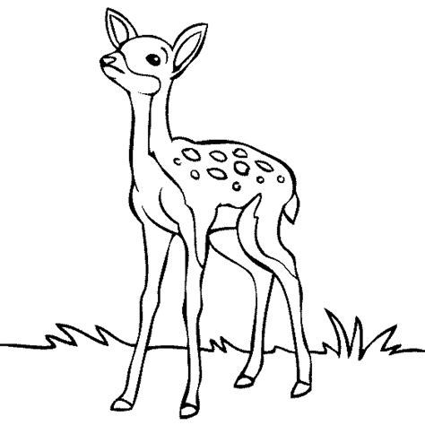 Print And Download Deer Coloring Pages For Totally