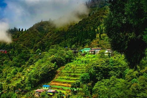 Top 10 Tourist Places In Darjeeling You Must Visit Wildlifezones