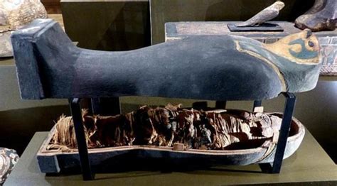Ct Scan Reveals 3 000 Year Old Non Human Egyptian Mummies Nexus Newsfeed