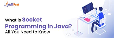 What Is Socket Programming In Java All You Need To Know