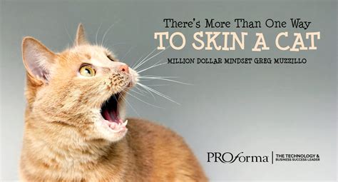 Theres More Than One Way To Skin A Cat Proforma
