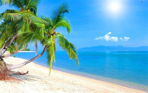 10 Best Caribbean Beach Pictures Wallpaper Full Hd 1920×1080 For Pc Desktop 2023