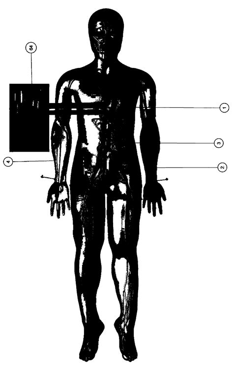 Open Type Bionic Interventional Operation Human Body Simulation System