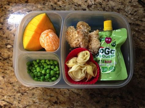 If your kids are tired of sandwiches, check out these non sandwich. Bento Lunches for Toddlers/Preschool | Preschool lunch ...