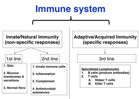 Innate immunity, also known as genetic or natural immunity, is immunity that one is born with. innate immune system - Google-haku | Immune system, Study ...