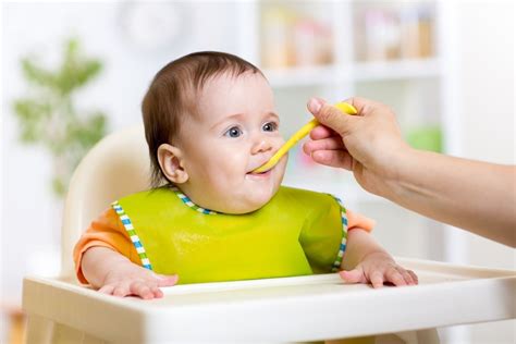 Alimentação Do Bebê Aos 6 Meses Com Cardápio Seja Saudável