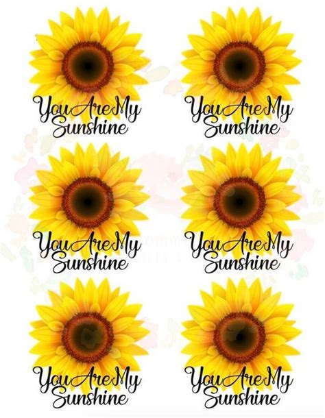 You are my sunshine images. Full Sheet Waterslide Images Sunflowers you are my ...