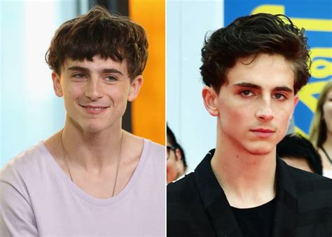 35 The King Timothee Chalamet Haircut Lowesohaib