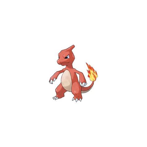 Charmeleon Liked On Polyvore Featuring Pokemon And Anime Pokemon