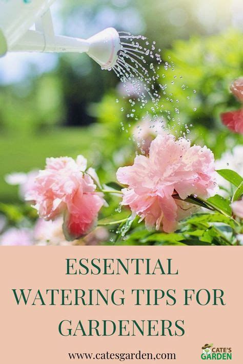 5 Essential Watering Tips For Gardeners Tree Care Watering Plant Roots