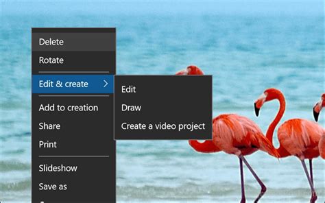 How To Crop An Image In Windows 10 Linux Macos Ios Or Android