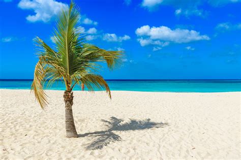 10 Best Beaches In Aruba Planetware Kulturaupice