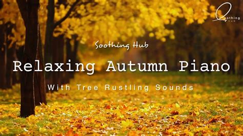 Relaxing Autumn Piano Music For Work And Studying Focus Music To