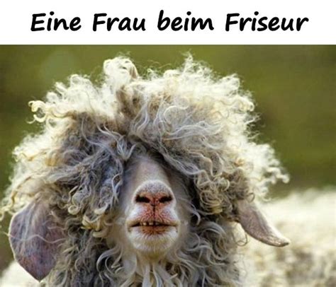 Der friseur rasiert und frisiert seine kunden. Eine Frau beim Friseur - xdPedia.de (3021)