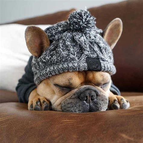 Cheap Winter Pet Dog Hat Cap Christmas Warm Windproof Pet Hats Woolen