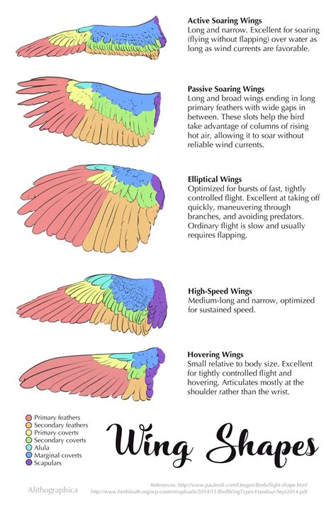 Pin By Yeen On Feathers ‘n Wings Wings Drawing Art Reference