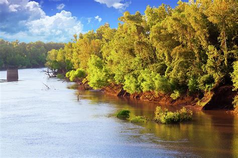 Brazos River Photograph By Judy Wright Lott Fine Art America