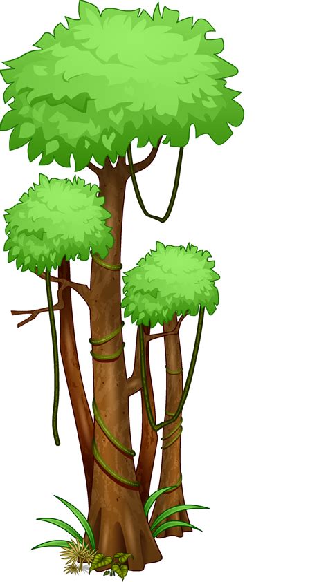 25 Transparent Tree Clipart Pictures Alade