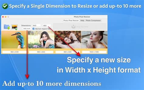 Photo Pixel Resizer For Pc Free Download Windows 71011 Edition