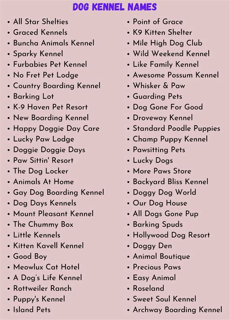 450 Catchy Dog Kennel Name Ideas For Your Furry Friends