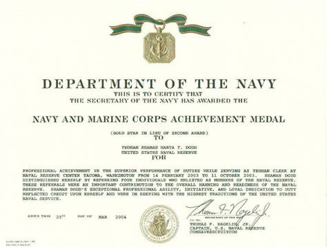 Navy and marine corps achievement medal 2nd award. Navy Girl's Brag Sheet