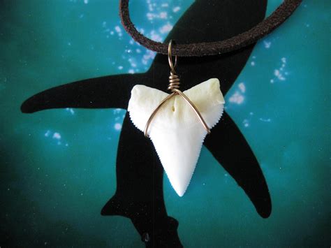 Shark Tooth Necklace Real Shark Tooth Bronze Wire Wrapped 999