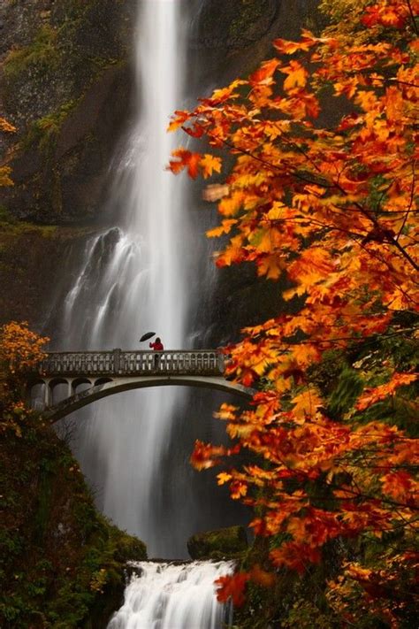 Multnomah Waterfalls Oregon Usa Waterfall Landscape Multnomah