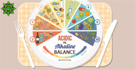 Acid Alkaline Balance Kangenwatertech