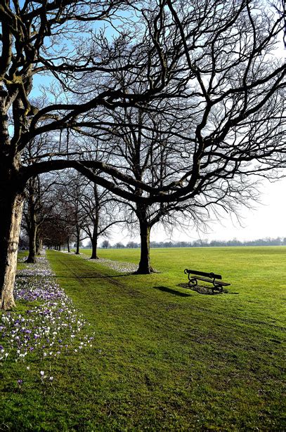 Park Background Free Stock Photo Public Domain Pictures