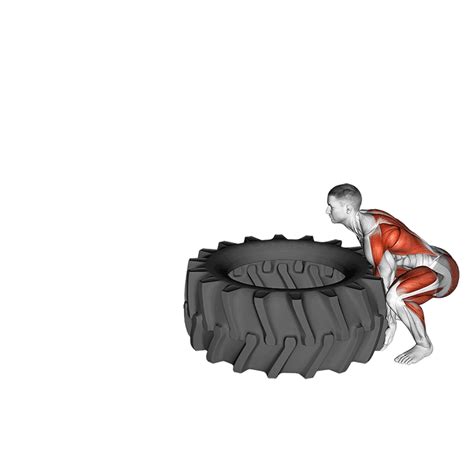 Tire Flip Benefits Muscles Worked And More Inspire Us