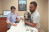 Pictures of Integrative Veterinary Health Center