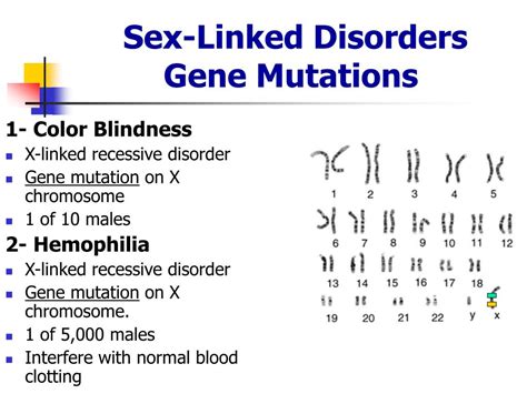Ppt Genetic Disorders Powerpoint Presentation Free Download Id 444219 Free Nude Porn Photos