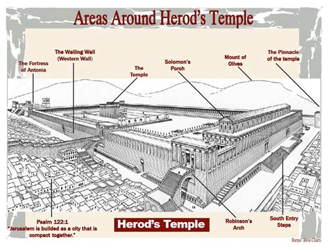 Areas Around Herods Temple Bible Study Topics Scripture Study
